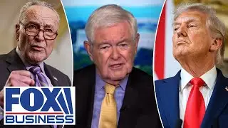 Newt Gingrich: Schumer has given Trump this potential golden opportunity