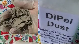 Primer on Dipel Dust & Diatomaceous Earth ~ Noreen's Garden