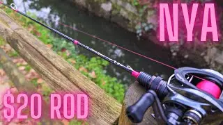 Pink Rod Power! Hunting Goddess In-Water Review & First Fish!