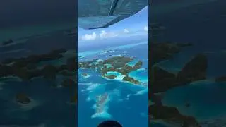 Places in Palau that don't feel real 🇵🇼🤯 #travel #adventure #explore #nature #palau