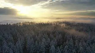 🌲❄️ 4K Drone Footage: Sunset in a Enchanted Foggy Winter Forest 🚁🌅