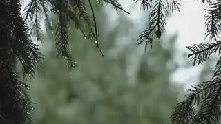 Звуки и расслабляющее видео о природе - Сон / Расслабление /   Медитация ain Sounds & - Sleep/ Relax