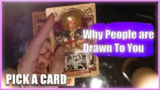 Why people are drawn to you 👀😍 ➸Pick a Card. Timeless Tarot Reading