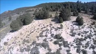 MXP 230 RAW