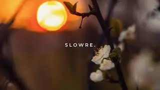 Arlo Parks - Green Eyes (slowed + reverb)