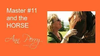 What Does the Master #11 and HORSE Have in Common?