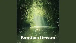Bamboo Dream