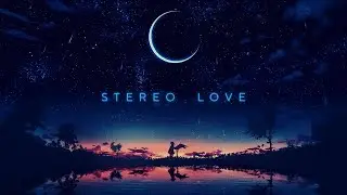 STEREO LOVE | Bollywood Mashup Type | DJ Remix Type 2024 |