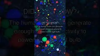 The human brain can generate enough elec... | Amazing Fact #36