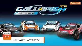 HW HW8811 HW8812 1/16 RC Car - Shop on Banggood