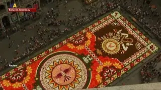 Ковер из живых цветов появился на центральной площади Брюсселя