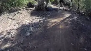 Mtb over the logs at the Mt Annan enduro trail