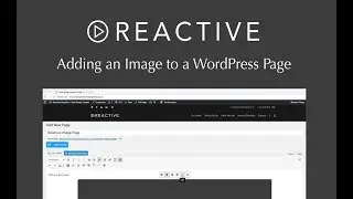 Adding an Image to a WordPress Page - Reactive Graphics Tutorial