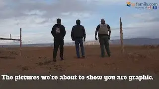 GRAPHIC VIDEO: Nearly 200 wild horses die in dried-up watering hole on Navajo Nation land