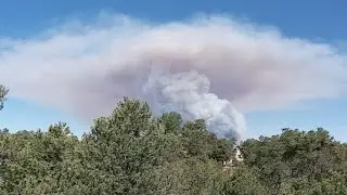 Arizona Forrest Fire Tinder 🔥
