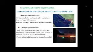 EXPO-REPORTE ON FISHING TECHNOLOGIES