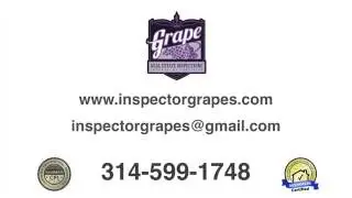 Joseph Immethun of Grape Real Estate Inspections