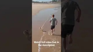 Dog friendly beaches in California