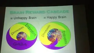 ISNR2016   Reward Deficiency Syndrome & genetics   Kenneth Blum