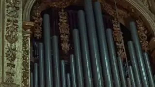 Il colossale organo del meraviglioso Duomo di Cremona