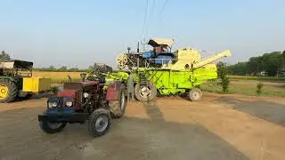 Paddy harvest #khairpur #punjab #paddy #harvest