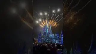 Magic Kingdom #disneyparks #disneyworld #orlando #magickingdom #fireworks #disneyfireworks #disney