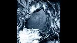 FOREST SILENCE- PHILOSOPHY OF WINTER