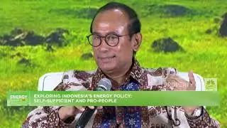 Mandat Prabowo, DEN Percepat Transisi Energi & Pangkas 
