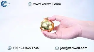 DANFOSS MF22 Hydraulic Pump Spare Parts-Ball Guide｜danfoss pump identification｜danfoss jrr pump｜