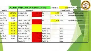 COMERCIALIZACION DE CONCENTRADOS