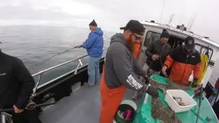 Homer, Ak - Halibut Fishing