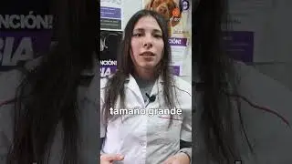 FR&Iacute;O POLAR | &iquest;Hay que ABRIGAR a los PERROS y GATOS?