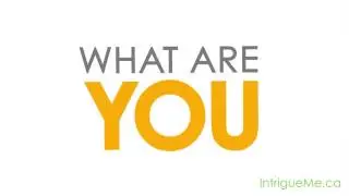 Intrigue Media - Helping Businesses Make $1 Million - Cambridge