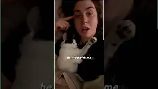 Bruno The Blind Cat Lives His Life To The Fullest!