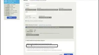 Google Cloud Backup and DR - How to mount, clone or restore a VMware VM