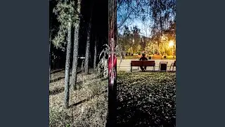 и те 7 дней лагеря)