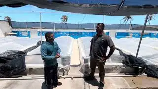 Quais os benef&iacute;cios do biomarine?