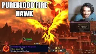 I Got the Pureblood Fire Hawk From Firelands!
