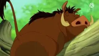 Simba Vs Sabor