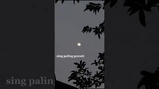 seperti kemarin tapi tak bisa di ulang☺