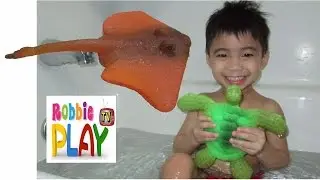Magic Grow Animals Turtle and Stingray
