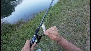 Friday Night Wacky Worm and SwimBait Action #bassfishing #fishing