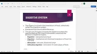 digestive system INTRODUCTION DIGESTIVE SYSTEM ORGANS THE ACCESSORY ORGANS IN DIGESTION