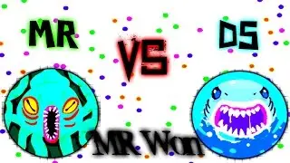 Agar.io〖ϻ&real;〗Vs. DS Official Match