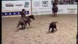 2002 NCHA Futurity Amateur Champion