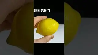 lemon experiment. #experiment #lemonexperiment