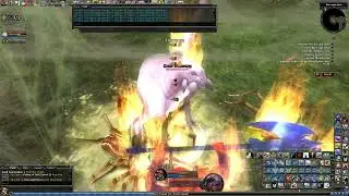 DDO Level Seven Quests - The Stone Crypt Chronicle (The Isle of Dread)