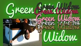 Green Widow (prod. by NastyProductionz )  ~Zombee Radio~