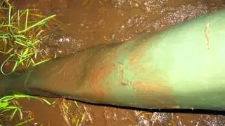 Mudding in waders Sinking in deep Excited rubberist activity Le chameau