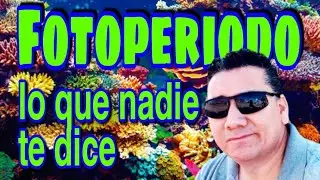LO QUE NADIE TE DICE DEL FOTOPERIODO